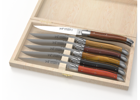 Coffret de 6 couteaux Laguiole - Manches avec 6 bois différents image 1