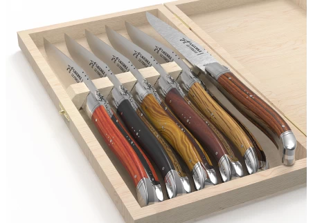 https://laguiole-17592.kxcdn.com/17366-medium_default/laguiole-cutlery-of-6-knives-with-6-different-handles-and-stainless-steel-bolsters.jpg