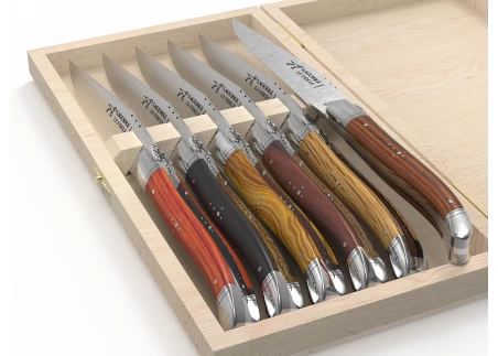 Laguiole Steak Knives Set of 6 – Mixed French wood