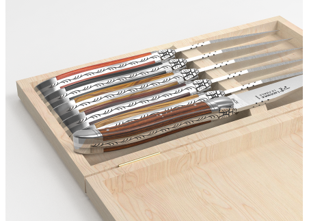 Coffret de 6 couteaux Laguiole - Manches avec 6 bois différents image 4