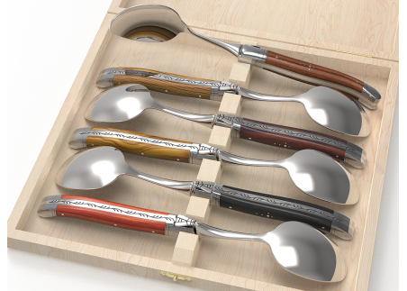 Service de 6 petites cuillères Laguiole - Manches avec 6 bois différents image 1