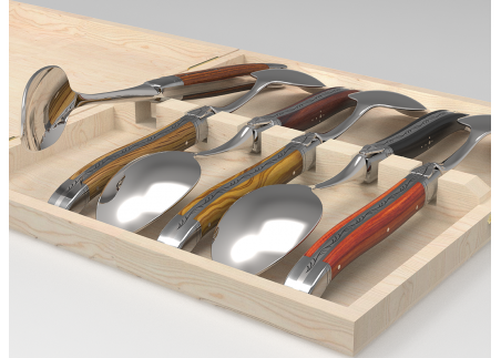 Service de 6 petites cuillères Laguiole - Manches avec 6 bois différents image 1