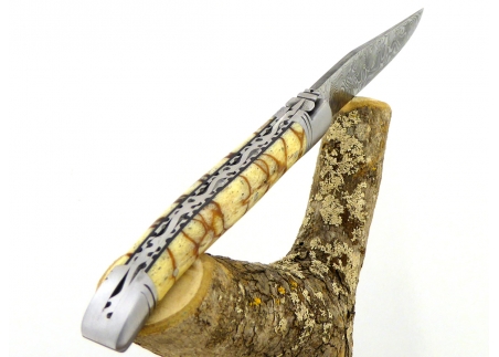 Forged and Guilloched/Chiseled Laguiole, Damascus Steel Blade, Handle Made Off Fossilised Tiger Coral image 1