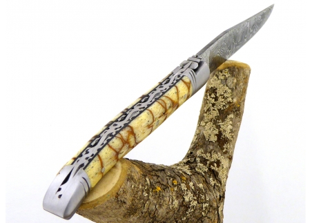 Forged and Guilloched/Chiseled Laguiole, Damascus Steel Blade, Handle Made Off Fossilised Tiger Coral image 3