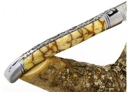 Forged and Guilloched/Chiseled Laguiole, Damascus Steel Blade, Handle Made Off Fossilised Tiger Coral image 4