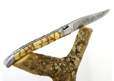 Forged and Guilloched/Chiseled Laguiole, Damascus Steel Blade, Handle Made Off Fossilised Tiger Coral image 5