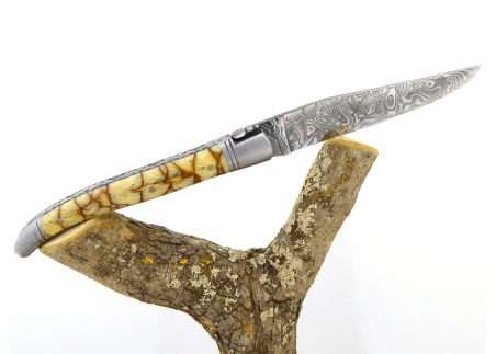 Forged and Guilloched/Chiseled Laguiole, Damascus Steel Blade, Handle Made Off Fossilised Tiger Coral image 7