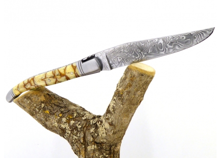 Forged and Guilloched/Chiseled Laguiole, Damascus Steel Blade, Handle Made Off Fossilised Tiger Coral image 8