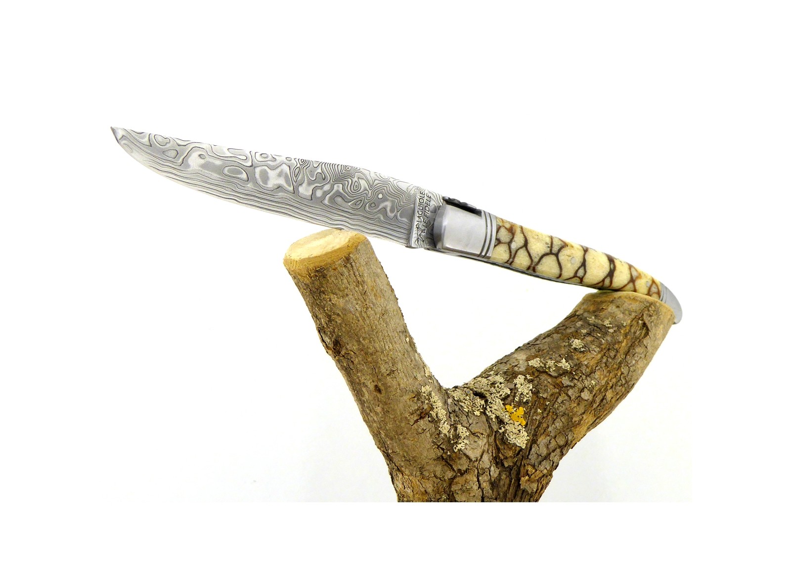 Forged and Guilloched/Chiseled Laguiole, Damascus Steel Blade, Handle Made Off Fossilised Tiger Coral image 9