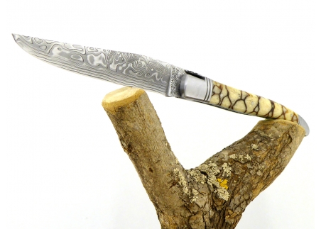 Forged and Guilloched/Chiseled Laguiole, Damascus Steel Blade, Handle Made Off Fossilised Tiger Coral image 9