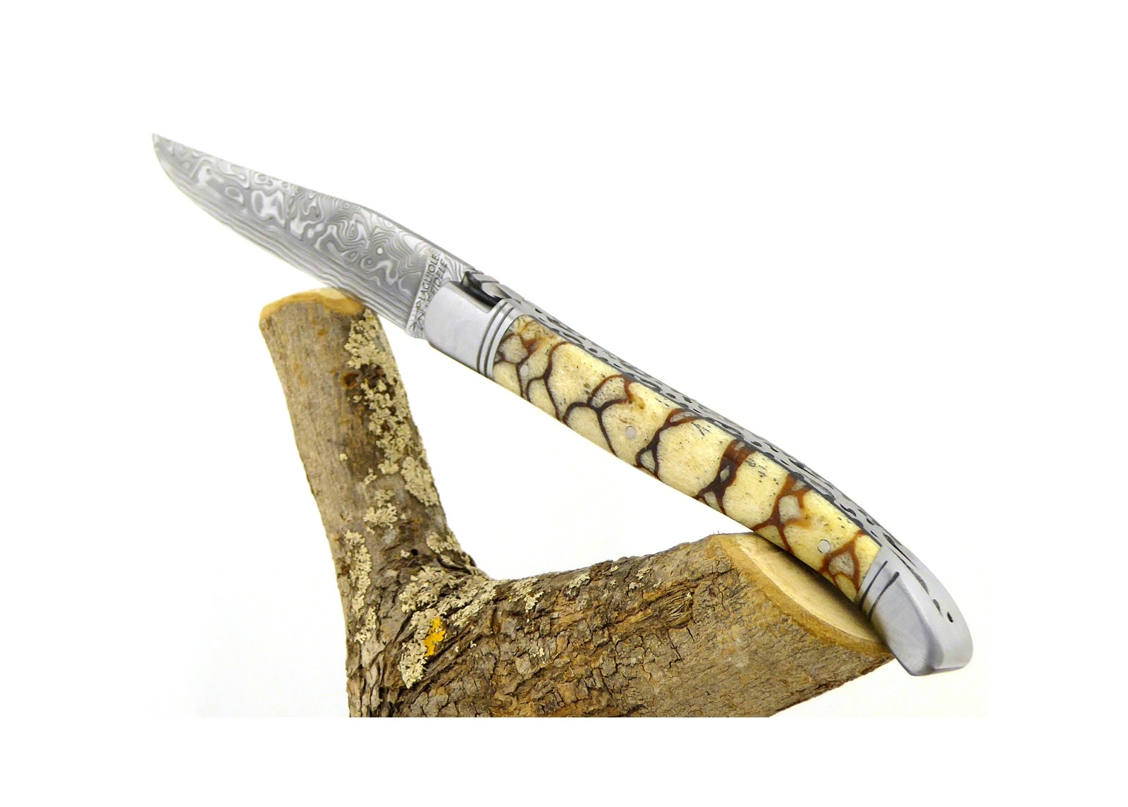 Forged and Guilloched/Chiseled Laguiole, Damascus Steel Blade, Handle Made Off Fossilised Tiger Coral image 14