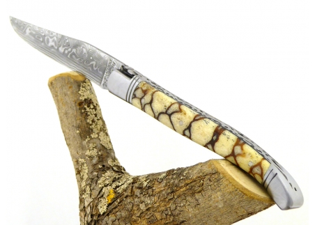 Forged and Guilloched/Chiseled Laguiole, Damascus Steel Blade, Handle Made Off Fossilised Tiger Coral image 14