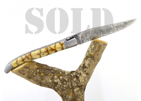 Forged and Guilloched/Chiseled Laguiole, Damascus Steel Blade, Handle Made Off Fossilised Tiger Coral image 15