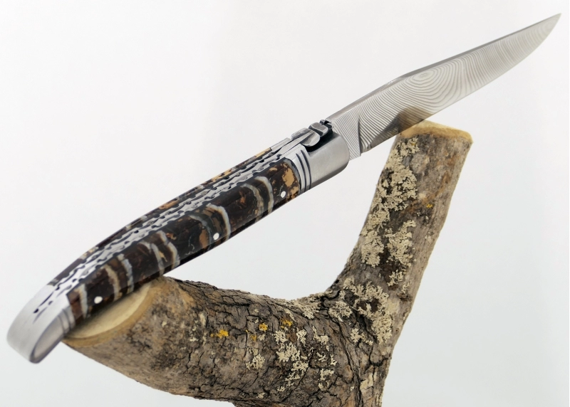 Forged Laguiole, Handle Made Off gold and black tinted MammothTooth Molar image 7