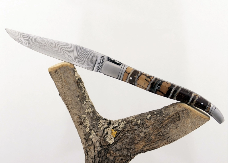 Forged Laguiole, Handle Made Off gold and black tinted MammothTooth Molar image 13