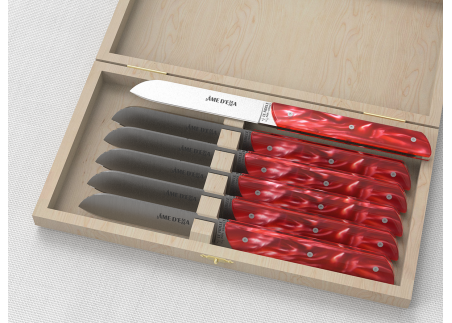 Set of 6 laguiole steak knives with Red Madreperlato handle and stainless steel blade image 1