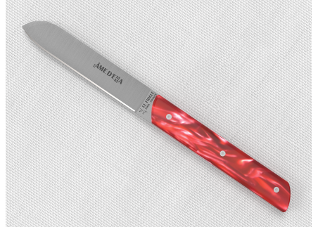 Set of 6 laguiole steak knives with Red Madreperlato handle and stainless steel blade image 7