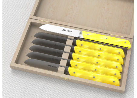 Service de 6 couteaux de table avec un manche en Madreperlato Jaune et lame en acier inoxydable image 1