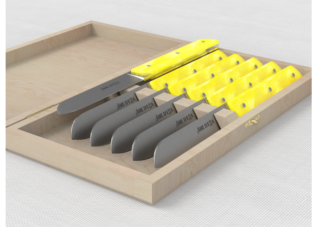 Service de 6 couteaux de table avec un manche en Madreperlato Jaune et lame en acier inoxydable image 1