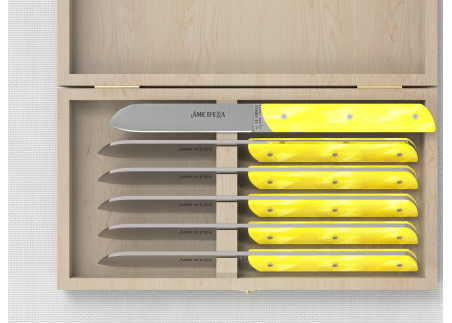 Service de 6 couteaux de table avec un manche en Madreperlato Jaune et lame en acier inoxydable image 2