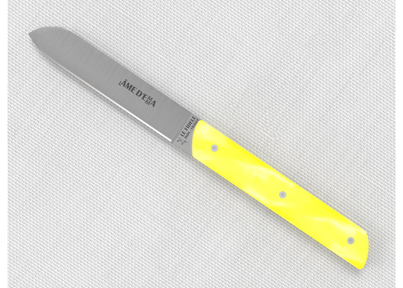 Service de 6 couteaux de table avec un manche en Madreperlato Jaune et lame en acier inoxydable image 6