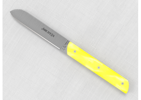 Service de 6 couteaux de table avec un manche en Madreperlato Jaune et lame en acier inoxydable image 6