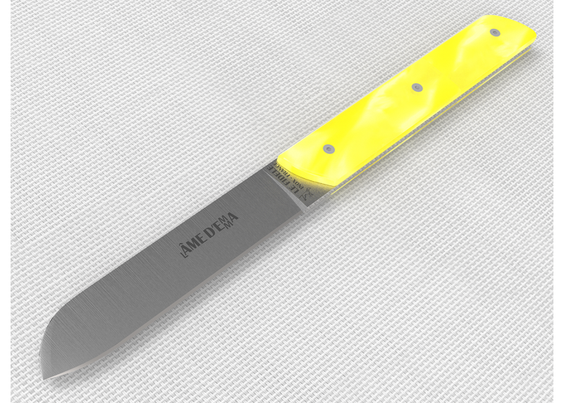 Service de 6 couteaux de table avec un manche en Madreperlato Jaune et lame en acier inoxydable image 7