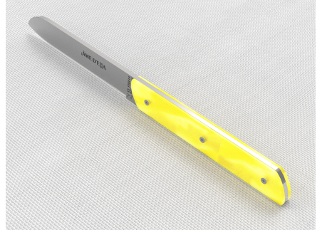 Service de 6 couteaux de table avec un manche en Madreperlato Jaune et lame en acier inoxydable image 8