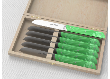 Set of 6 laguiole steak knives with Light Green Madreperlato handle and stainless steel blade image 1