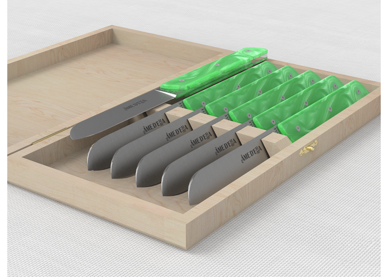 Service de 6 couteaux de table avec un manche en Madreperlato Vert Clair et lame en acier inoxydable image 1
