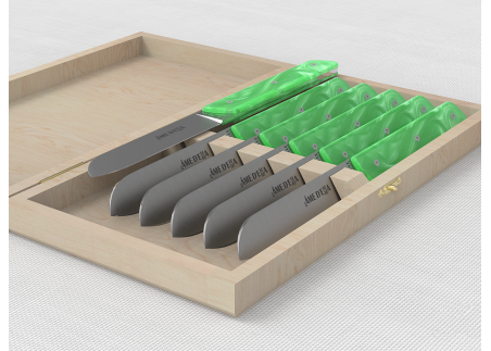 Service de 6 couteaux de table avec un manche en Madreperlato Vert Clair et lame en acier inoxydable image 1