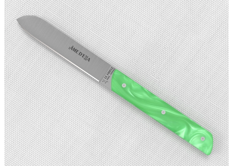Service de 6 couteaux de table avec un manche en Madreperlato Vert Clair et lame en acier inoxydable image 6