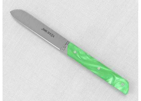 Service de 6 couteaux de table avec un manche en Madreperlato Vert Clair et lame en acier inoxydable image 6