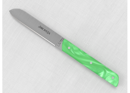 Set of 6 laguiole steak knives with Light Green Madreperlato handle and stainless steel blade image 7