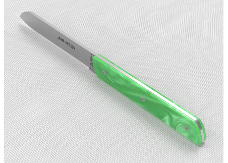 Service de 6 couteaux de table avec un manche en Madreperlato Vert Clair et lame en acier inoxydable image 8