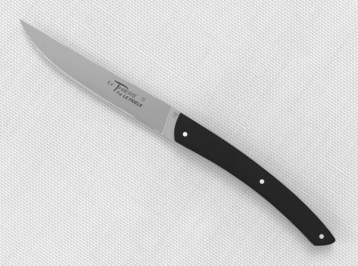 Ensemble de couteaux à steak noir, couteau dentelé noir Kyrtaon, ensemble  de couteaux tranchants en acier inoxydable plaqué noir titane, ensemble de  8 couteaux de table, résistant au lave-vaisselle : : Cuisine