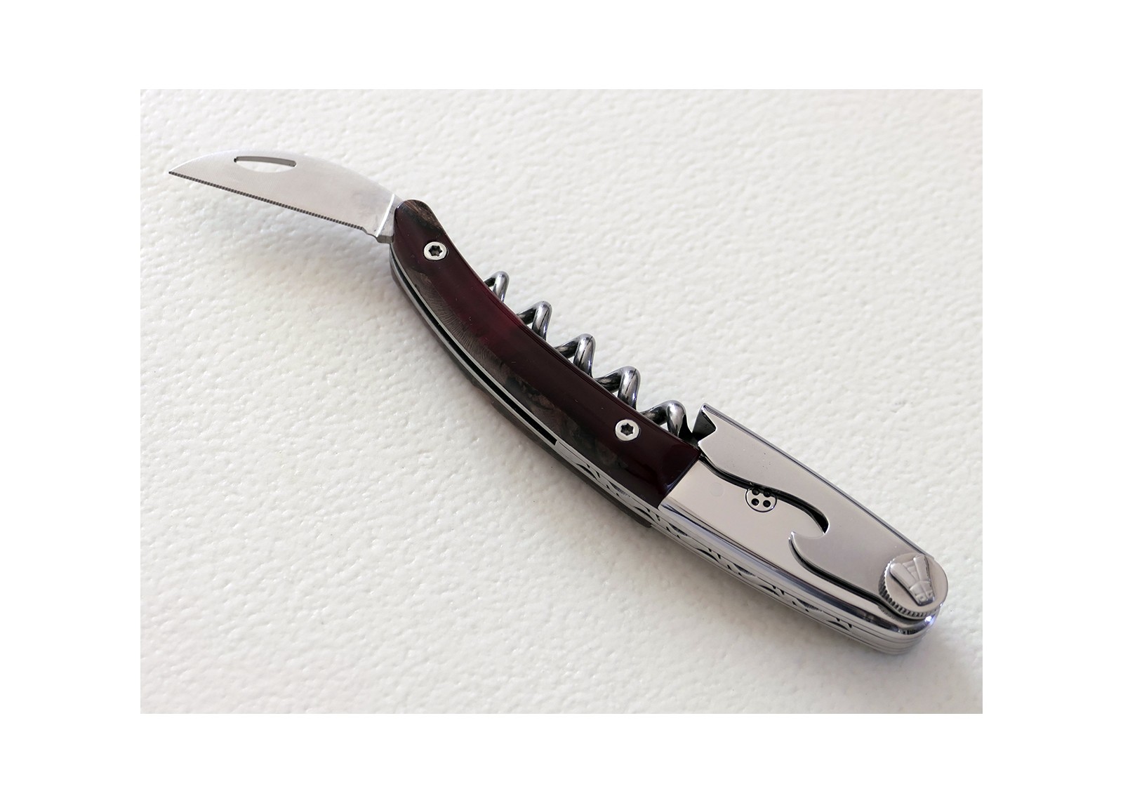 https://laguiole-17592.kxcdn.com/20209-large_default/laguiole-corkscrew-with-resin-and-vine-splinters-handle-and-stainless-steel-bolster.jpg