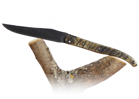 Laguiole Forged, with its Natural Ram's Horn Full Handle. image 5