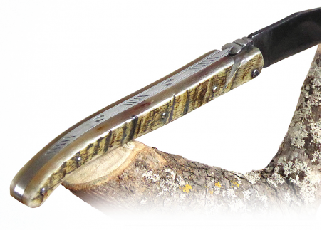 Laguiole Forged, with its Natural Ram's Horn Full Handle. image 11